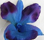 Unknown flower 1 painting